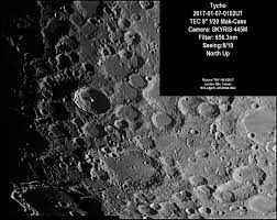 Attēlu rezultāti vaicājumam “Craterium minutum young”