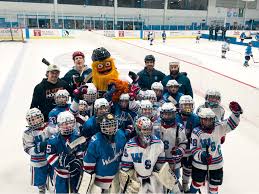 Image result for West Coast Wasps Skater Hockey Club