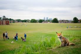 Image result for Aquarius Golf Club