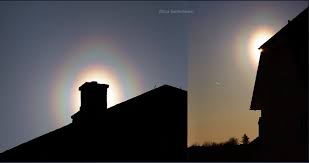 Attēlu rezultāti vaicājumam “pollen corona”