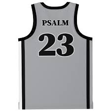 Image result for Teamsheep