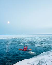 Image result for Laplandit-(Ce)