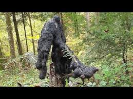 Attēlu rezultāti vaicājumam “Brefeldia maxima plasmodium”