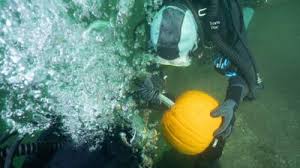 Image result for Duchy Divers