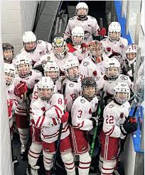 Image result for New Milton Hockey Club