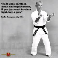 Image result for Ryuko Dojo