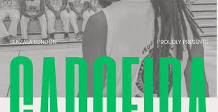 Image result for Capoeira Senzala Grantham