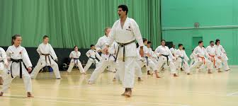 Image result for Haslemere Karate Club
