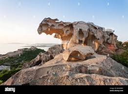 Image result for capo d'orso