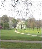 Image result for Civil Service Riding Club (Csrc)