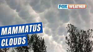 Attēlu rezultāti vaicājumam “Mammatus”