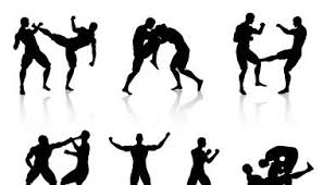 Image result for Combined self defence arts