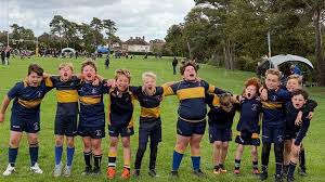 Image result for Ellingham and Ringwood Rfc
