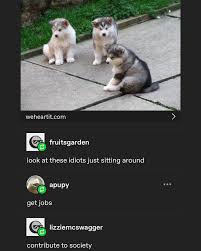 Image result for apupy