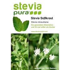 Image result for Stevia rebaudiana