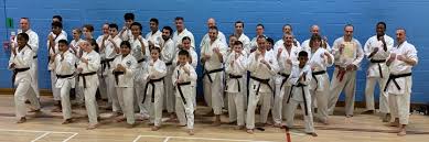 Image result for Kenshukai Karate