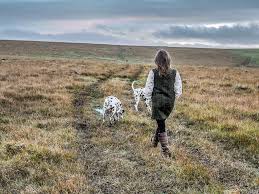 Image result for bodmin moor