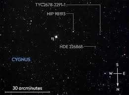 Attēlu rezultāti vaicājumam “Cygnus”