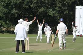 Image result for Lingfield Cricket Club