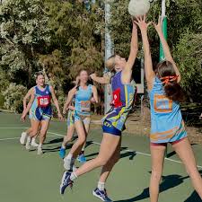 Image result for Wombles Netball Club