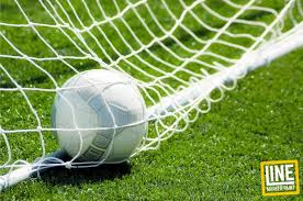 Image result for Pitch marking blog