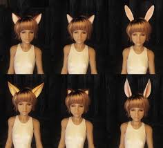 Image result for ear mod