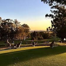 Image result for Ipswich Sports Club