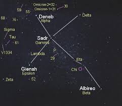 Attēlu rezultāti vaicājumam “Cygnus”