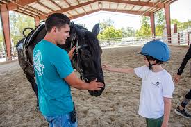 Image result for Shey Copse Riding Centre