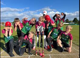 Image result for Penarth Cricket Club