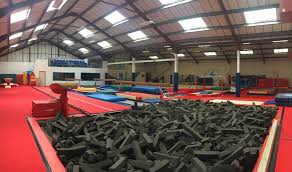 Image result for Swallows Trampoline Club