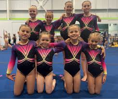 Image result for Alton Gymnastics Club