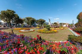 Image result for Clacton & District