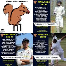 Image result for Rylands Cc