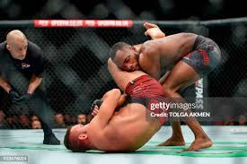 Image result for Fighting Arts Organisation of Great Britain