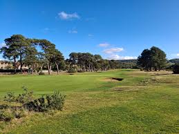 Image result for East Flegg Riding Club