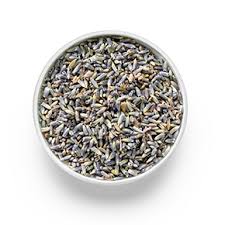 Attēlu rezultāti vaicājumam “Lavandula angustifolia bud”