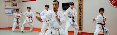 Image result for Independent Wadoryu Karate Federation