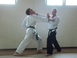 Image result for Nottingham Sankukai Karate