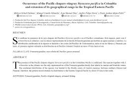 Image result for Styracura pacifica