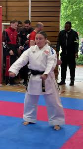 Image result for ENGLISH INTERNATIONAL ALLSTYLES TAEKWONDO