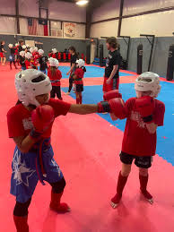 Image result for Allstars Kickboxing