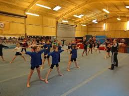 Image result for Wade Gymnastics Club