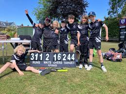 Image result for Hampton Hill Cricket Club
