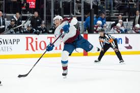 Image result for Ash Avalanche Skater Hockey Club