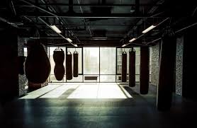 Image result for Finchley & District Amateur Boxing Club