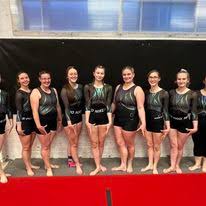 Image result for Wyre Forest School Of Gymnastics