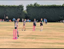 Image result for Newport (Salop) Cricket Club