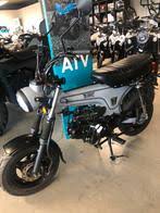 Image result for skyteam pbr teller