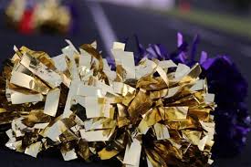 Image result for Sheffield Scorpions Cheerleading